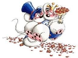 SUDAFRICA E SEYCHELLES * 30 GIUGNO 2012