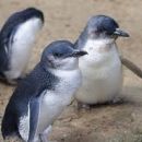 LISTA NOZZE MICHELA E MARCO AUSTRALIA * 11 MARZO 2012