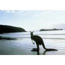 LISTA NOZZE MICHELA E MARCO AUSTRALIA * 11 MARZO 2012