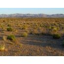 LISTA NOZZE GIULIA & MICHELE * 2 LUGLIO 2016 CALIFORNIA AND FLORIDA