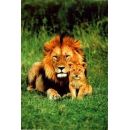 LISTA NOZZE SILVIA & LUCA SUDAFRICA E SEYCHELLES * 30 GIUGNO 2012