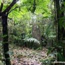 LISTA NOZZE MARTA & LUCA MADAGASCAR * TOUR E MARE * 23 SETTEMBRE 2013