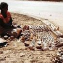 LISTA NOZZE MARTA & LUCA MADAGASCAR * TOUR E MARE * 23 SETTEMBRE 2013