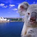 LISTA NOZZE MICHELA E MARCO AUSTRALIA * 11 MARZO 2012