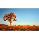 LISTA NOZZE SARA E FABIO * 25 LUGLIO 2015 VIAGGIO DI NOZZE NEW YORK, TOUR WESTERN WONDERS E ARUBA